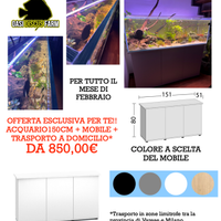 ACQUARI EXTRACHIARO in pronta consegna