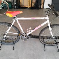 Bicicletta Mountain Bike