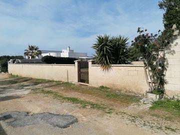 SAN PIETRO in BEVAGNA - Terreno al Mare