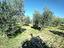 Immagine 11