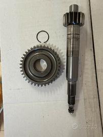 Rapporti malossi 16/37 zip sp mk2