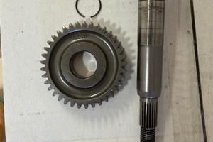 Rapporti malossi 16/37 zip sp mk2