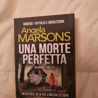 Una morte perfetta 