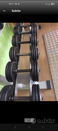Manubri palestra 