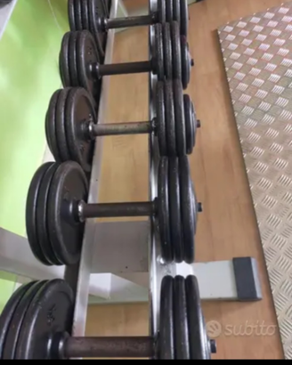 Manubri palestra 