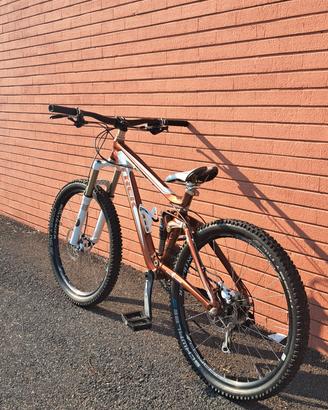 Trek Fuel EX 8 2010
