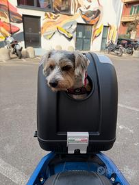 Trasportino cani e gatti per moto, auto e bici