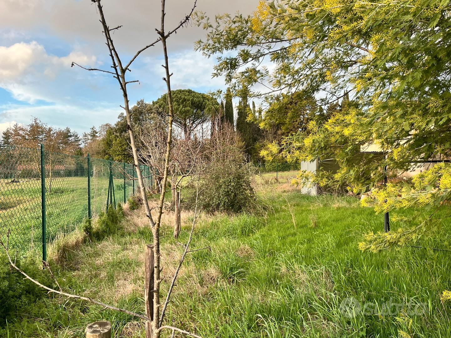 TERRENO AGRICOLO località IL MATTO, AREZZO - Vista 4
