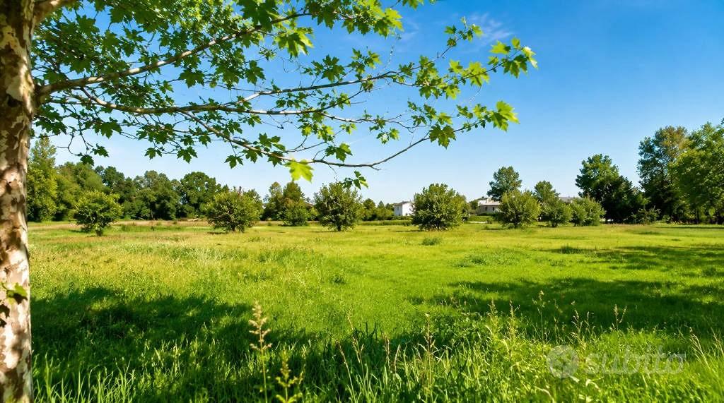 Terreno di 14500 m² a Mazzano - Vista 5