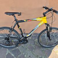 bicicletta mtb bottecchia