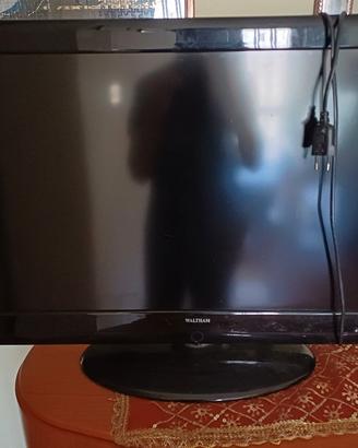 tv WALTHAM 