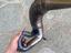 Immagine 4