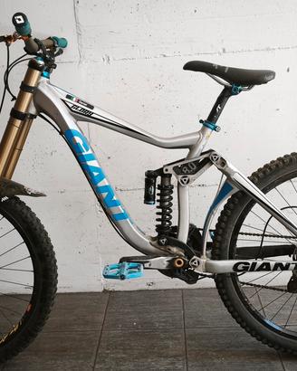 Giant glory 2011