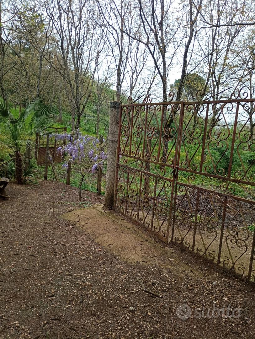 Terreno agricolo - Vista 6