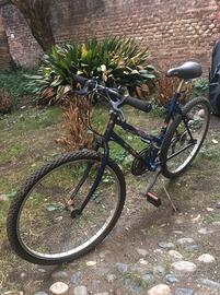 Bici MTB