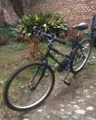 Bici MTB