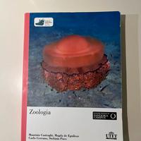 Zoologia