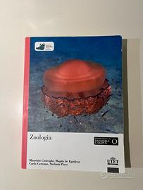 Zoologia