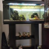 acquario 80 litri