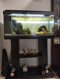 acquario 80 litri
