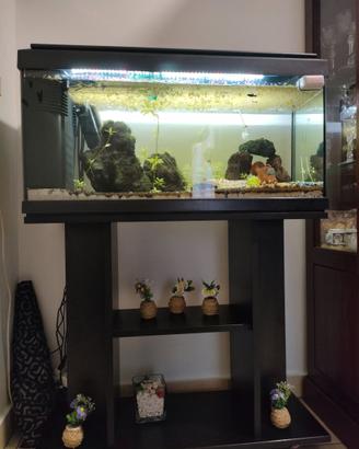 acquario 80 litri