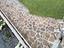 Immagine 13