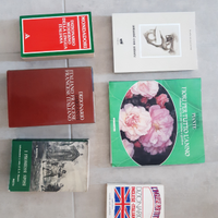 Vecchi libri/dizionari