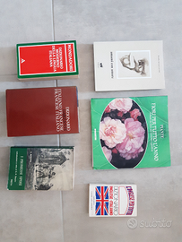 Vecchi libri/dizionari