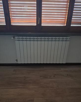 Termosifoni (smontaggio a carico acquirente)