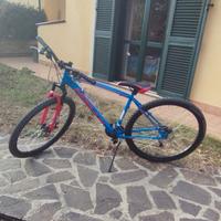Bici Hogan L 29 
