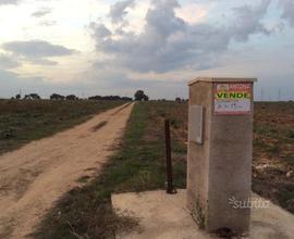 13 ettari di terreno a BRINDISI