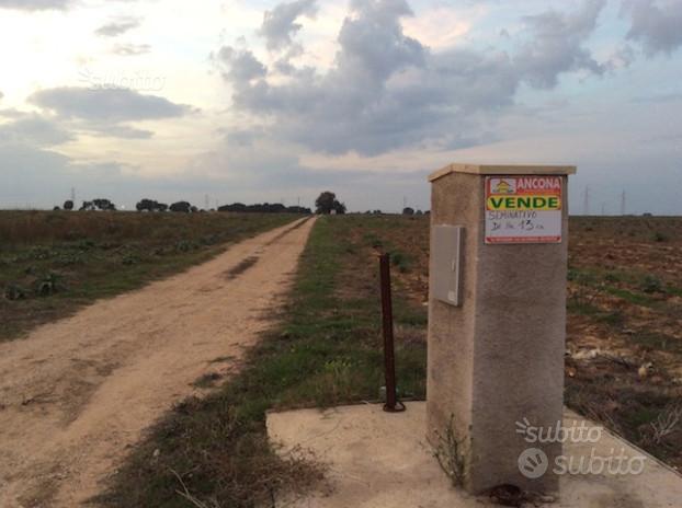 13 ettari di terreno a BRINDISI