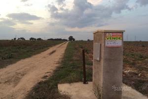 13 ettari di terreno a BRINDISI