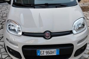 FIAT Panda 3ª serie - 2015 color caffè latte