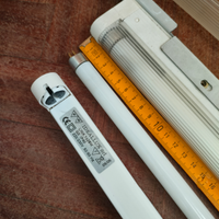 Luce neon (portalampada) stock rimanenza negozio
