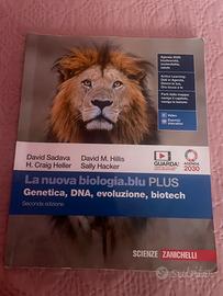 Libro