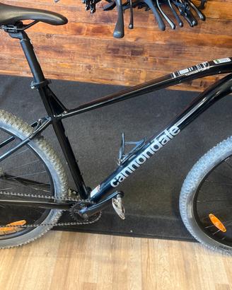 Mtb trail 1 Cannondale