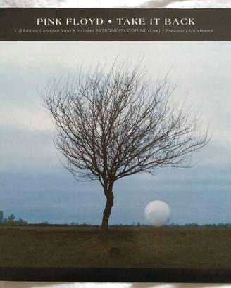 Pink Floyd - Take It Back 45 giri