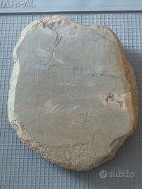 2,480 Kg Koppa JNATS Shohonyama Pietra Naturale JP