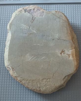 2,480 Kg Koppa JNATS Shohonyama Pietra Naturale JP