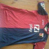 maglia milanetto,  genoa casa 2010/2011