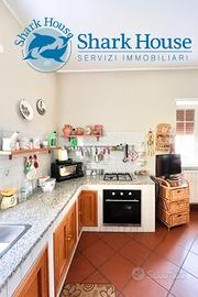 Indipendente con terreno