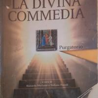 la divina commedia, purgatorio. libri