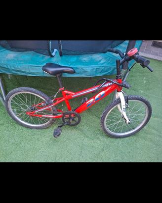 bicicletta 