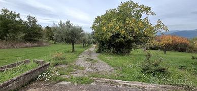 Ampio terreno con fabbricato TERC/18