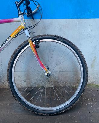 Bici Mountain bike