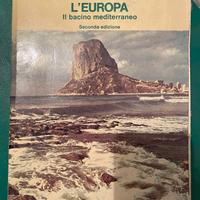 L'Europa 1979