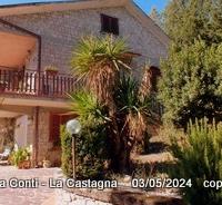 Villa Conti - la Castagna