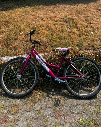 Bicicletta da donna