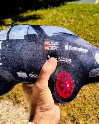 Cuscino auto squadra corse Past Autos Racing